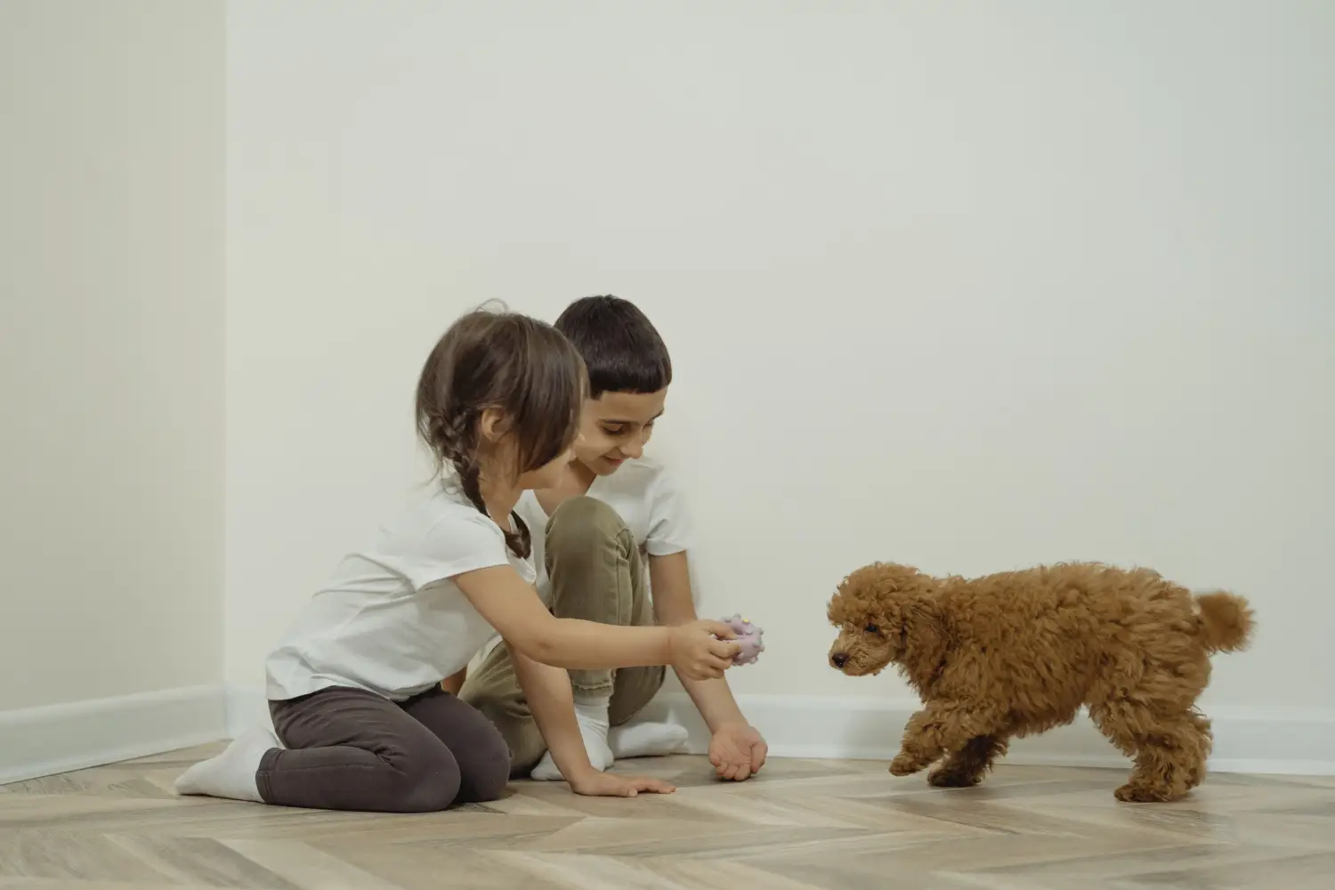The Hardwood Species Guide for Homes With Dogs and Kids
